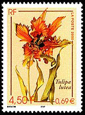 timbre-Tulipe_2000.jpg