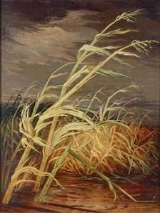 herbes.jpg