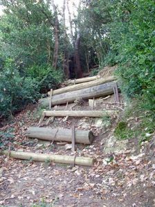 Escalier-1