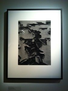 Expo-Siskind 6328
