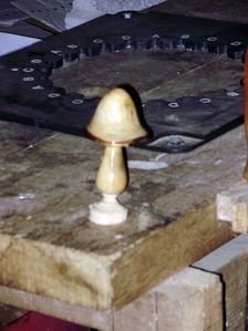 P9030053