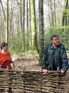 Forêt-de-Bercé