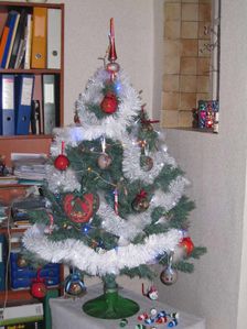 Sapin