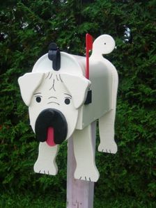 boîte aux lettres chien