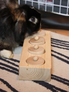 jouet einsteinchen 02