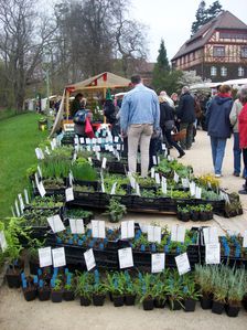 Botanischer-Garten-2014-04-05-003.JPG