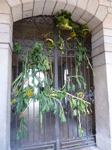 vienne3mairie_.jpg
