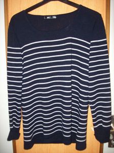 100_1259-copie-1.JPG