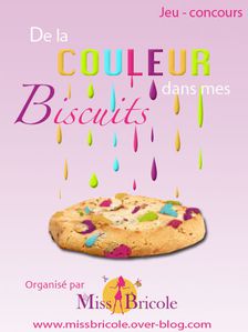 delacouleurdansmesbiscuits2.jpg