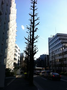Une rue de Tokyo, près d'Harajuku.