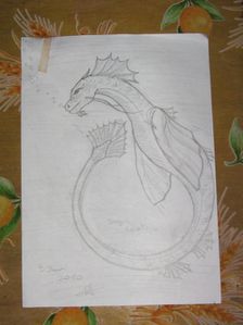 essai-dragon-chinois.jpg