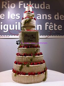 Gateau 10 ans