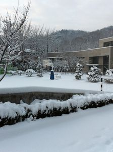 hiver-2012-13-3481.JPG
