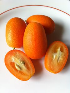 kumquats-2.jpg