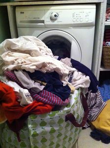 IMG_1607.jpg