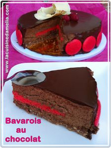 bavarois chocolat framboises (4)