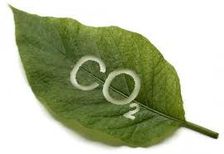 CO2-4