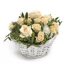 jardin-de-roses.jpg