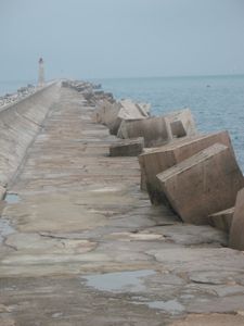 IMG 0768