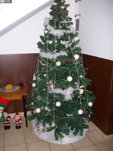 100_2510.jpg