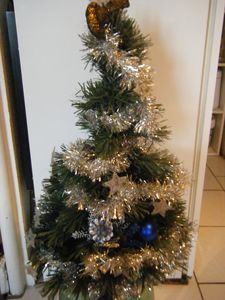DSCF6612