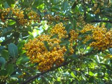 images-no-500298-copie-1.jpg