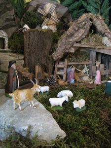 Noel-2009 4347