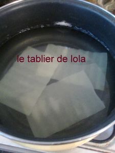 Photo0079-1