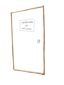 labo porte ouverte