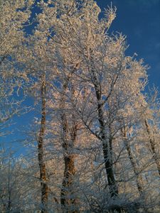 020110 champdufeu (10)