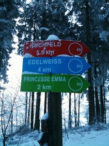 020110 champdufeu (23)