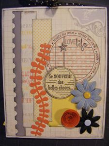 DSCF6380--Copier-.JPG