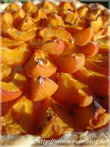 tarte-aux-abricots-et-romarin.JPG