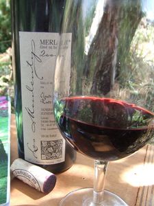 Merlot-2000.jpg