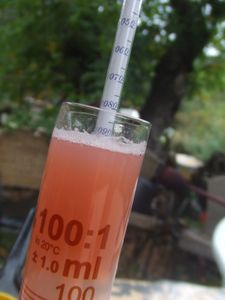 jus mourvedre