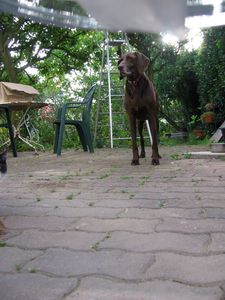 SAM DS LA CHATIERE