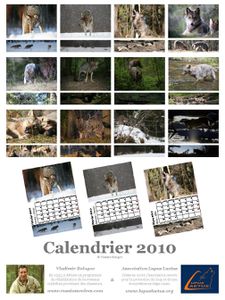 calendar-verso.jpg