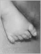 pieds.JPG