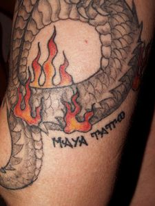 tatouage dragon+mt