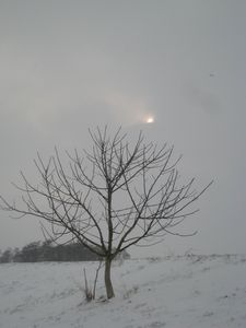 fevrier-5821.jpg
