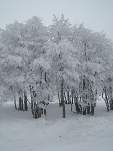fevrier-5872.jpg