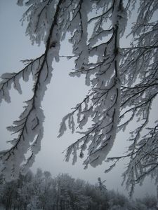 fevrier-5889.jpg