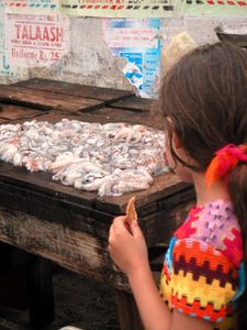 b36marché poissons grand bay
