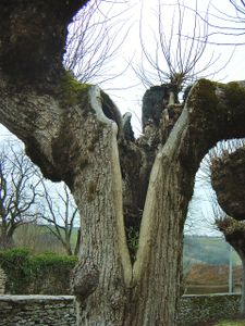 flavigny01-copie-1