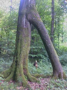 IMAGE_469.jpg