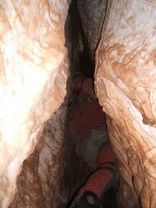 Mocrouis-11-2011-56.jpg