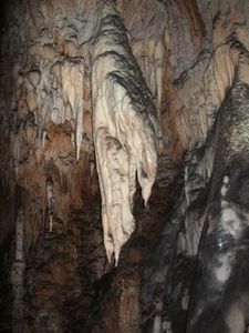 Mocrouis-11-2011-64.jpg