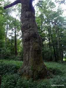 P1070200-1.JPG