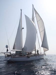 voilier7
