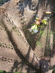 shawls cerisier 008